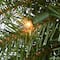 9' x 12" Pre-lit Norwood Fir Artificial Christmas Garland with 100 Clear Lights
